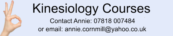 Kinesiology Foundation and Practitioner / Diploma Courses in London and Tunbridge Wells in Kent.