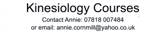 Kinesiology Foundation and Practitioner / Diploma Courses in London and Tunbridge Wells in Kent.